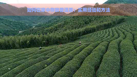 如何在家中存放普洱茶：实用经验和方法