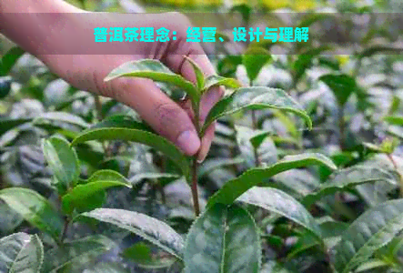 普洱茶理念：经营、设计与理解