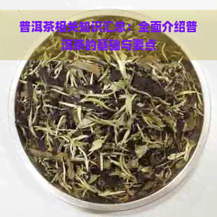 普洱茶相关知识汇总：全面介绍普洱茶的基础与要点