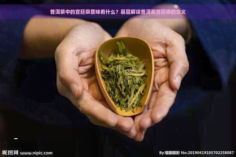 普洱茶中的宫廷级意味着什么？基层解读普洱茶宫廷级的含义