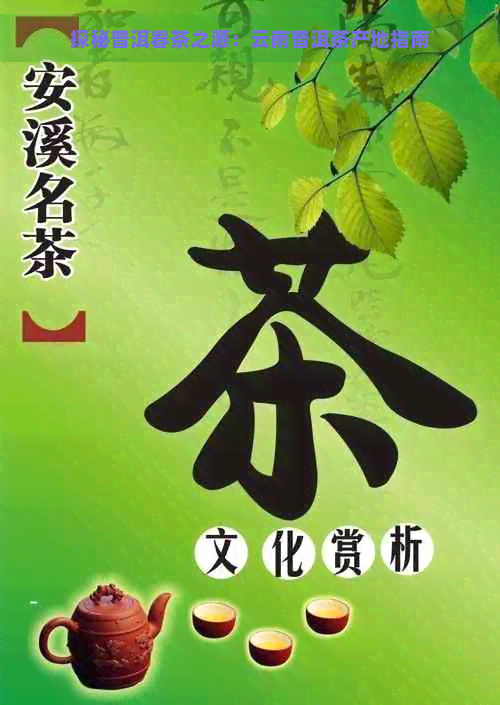 探秘普洱春茶之源：云南普洱茶产地指南