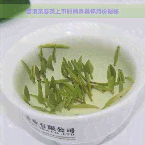 普洱茶春茶上市时间及具体月份揭秘