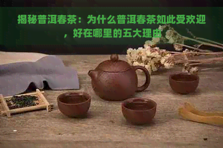 揭秘普洱春茶：为什么普洱春茶如此受欢迎，好在哪里的五大理由