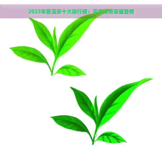 2023年普洱茶十大排行榜：平普洱茶荣耀登榜