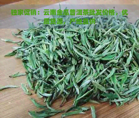 独家促销：云南金瓜普洱茶批发价格，优质货源，产地直供