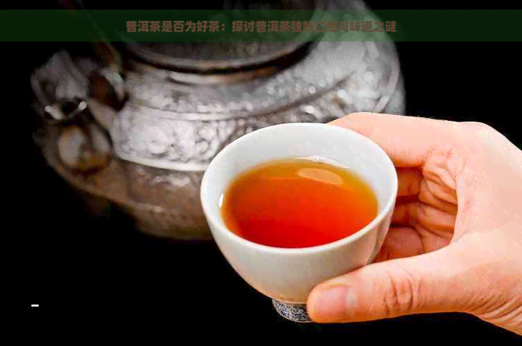 普洱茶是否为好茶：探讨普洱茶独特口感与味道之谜