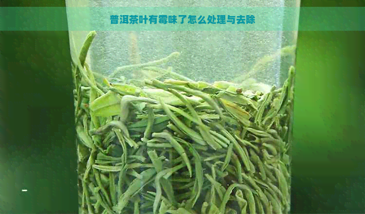 普洱茶叶有霉味了怎么处理与去除