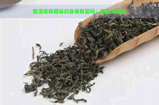 普洱茶有霉味对身体有害吗：原因及影响