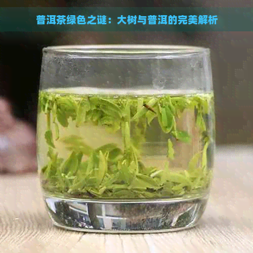 普洱茶绿色之谜：大树与普洱的完美解析