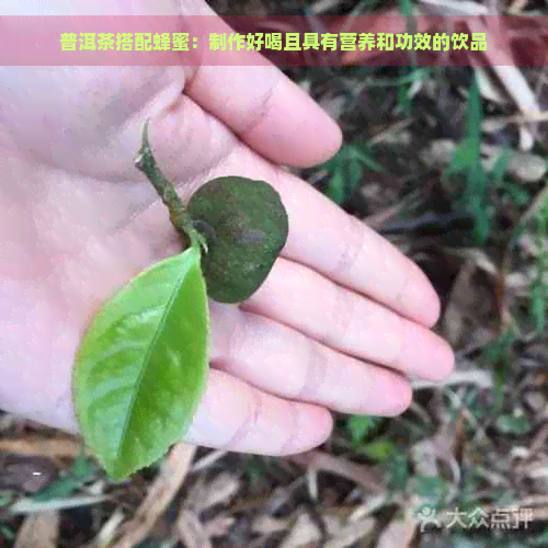 普洱茶搭配蜂蜜：制作好喝且具有营养和功效的饮品