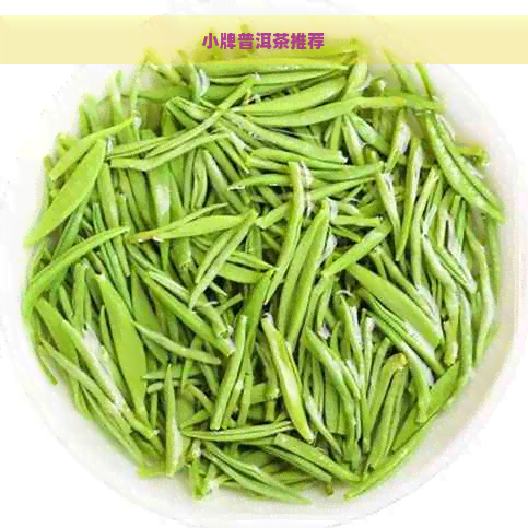 小牌普洱茶推荐