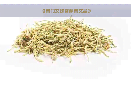 《普门文殊菩萨普文品》