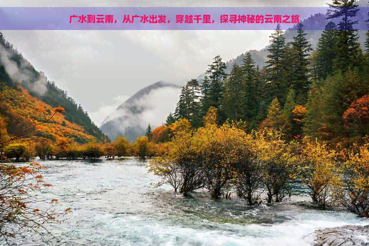 广水到云南，从广水出发，穿越千里，探寻神秘的云南之旅