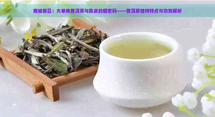 商城新品：大单株普洱茶与陈皮的健密码——普洱茶独特特点与功效解析