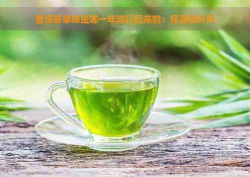 普洱茶单株是哪一年流行起来的：探源茶叶风