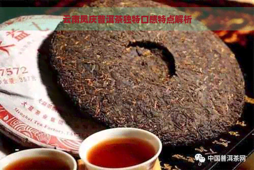 云南凤庆普洱茶独特口感特点解析