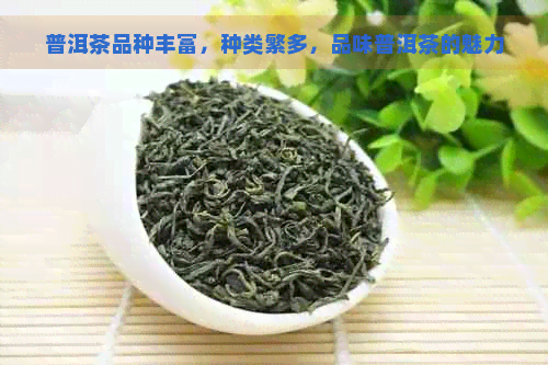 普洱茶品种丰富，种类繁多，品味普洱茶的魅力