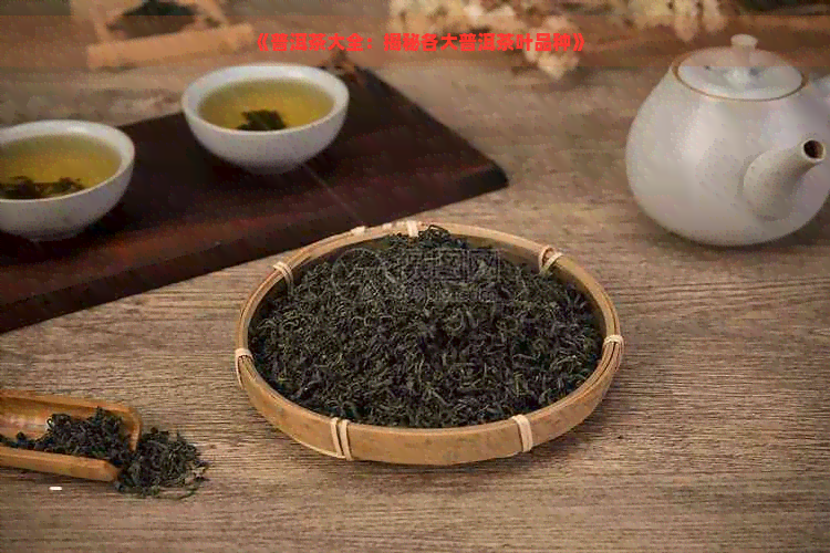 《普洱茶大全：揭秘各大普洱茶叶品种》