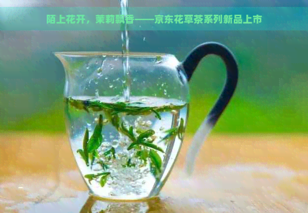 陌上花开，茉莉飘香——京东花草茶系列新品上市