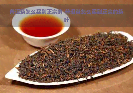 普洱茶怎么买到正宗的-普洱茶怎么买到正宗的茶叶