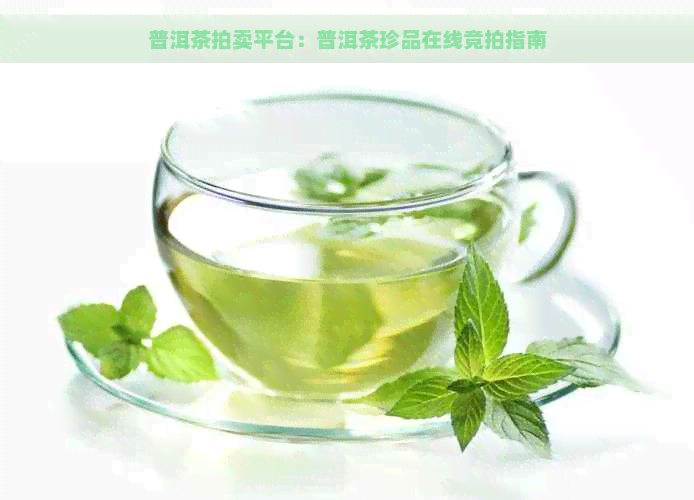 普洱茶拍卖平台：普洱茶珍品在线竞拍指南