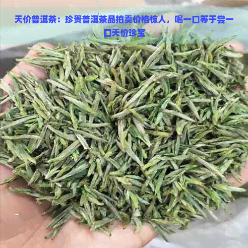 天价普洱茶：珍贵普洱茶品拍卖价格惊人，喝一口等于尝一口天价珍宝