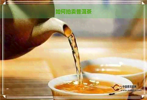 如何拍卖普洱茶