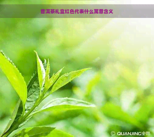 普洱茶礼盒红色代表什么寓意含义