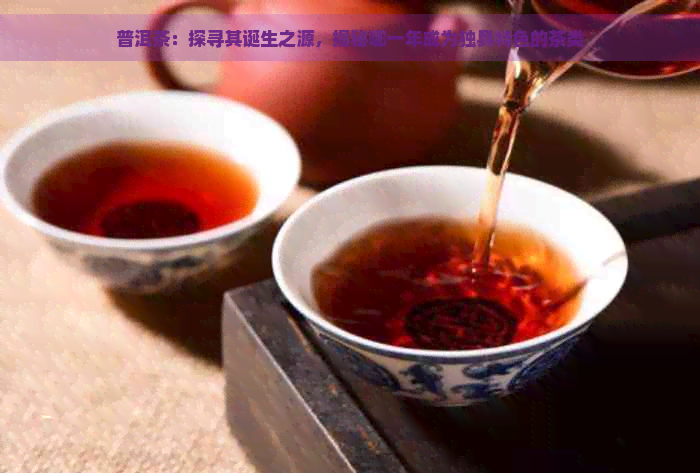 普洱茶：探寻其诞生之源，揭秘哪一年成为独具特色的茶类