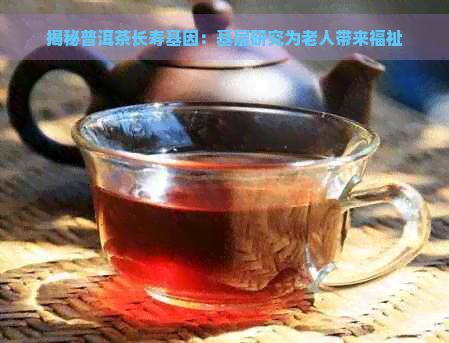 揭秘普洱茶长寿基因：基层研究为老人带来福祉