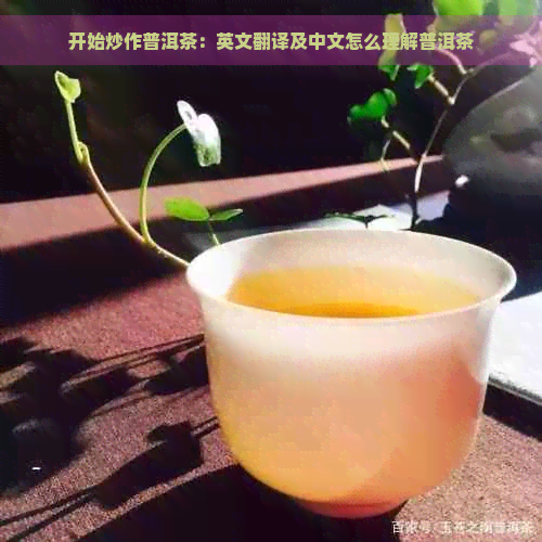 开始炒作普洱茶：英文翻译及中文怎么理解普洱茶