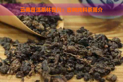 云南普洱茶林世兴：古树纯料茶简介