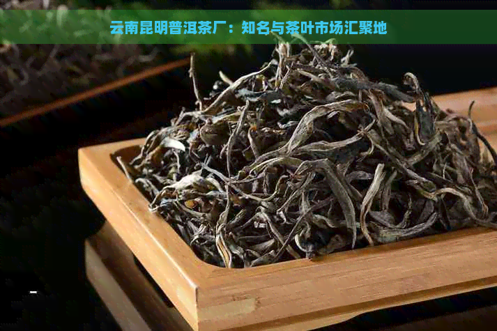 云南昆明普洱茶厂：知名与茶叶市场汇聚地