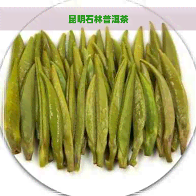 昆明石林普洱茶