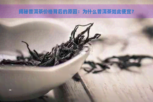 揭秘普洱茶价格背后的原因：为什么普洱茶如此便宜？