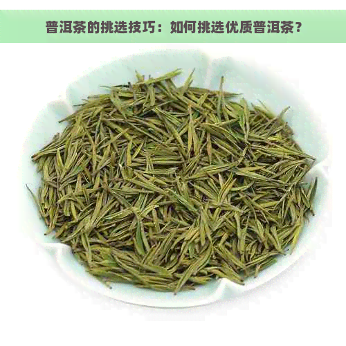 普洱茶的挑选技巧：如何挑选优质普洱茶？