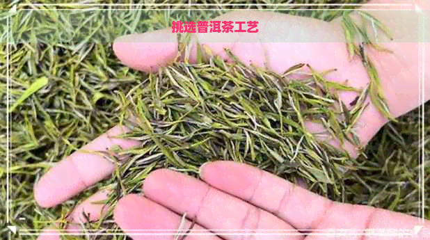 挑选普洱茶工艺