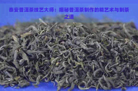 泰安普洱茶技艺大师：揭秘普洱茶制作的精艺术与制茶之道