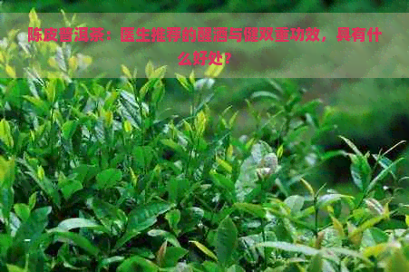 陈皮普洱茶：医生推荐的醒酒与健双重功效，具有什么好处？