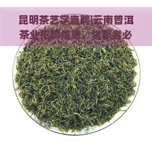 昆明茶艺学直聘|云南普洱茶业招聘信息，求职者必看的普洱茶学招聘网站