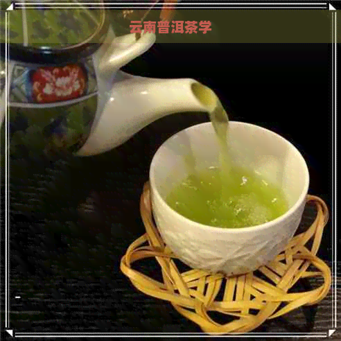 云南普洱茶学