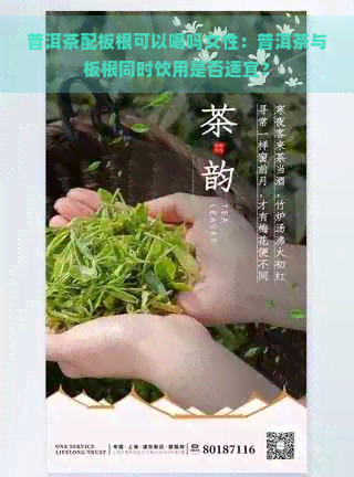 普洱茶配板根可以喝吗女性：普洱茶与板根同时饮用是否适宜？