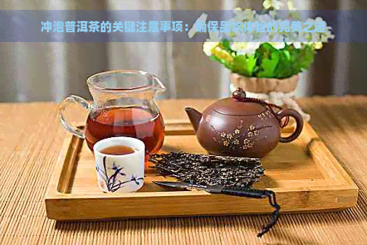 冲泡普洱茶的关键注意事项：确保品饮体验的完美之选