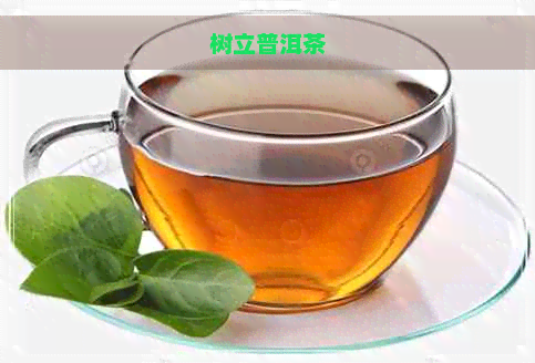 树立普洱茶