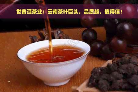 世普洱茶业：云南茶叶巨头，品质越，值得信！