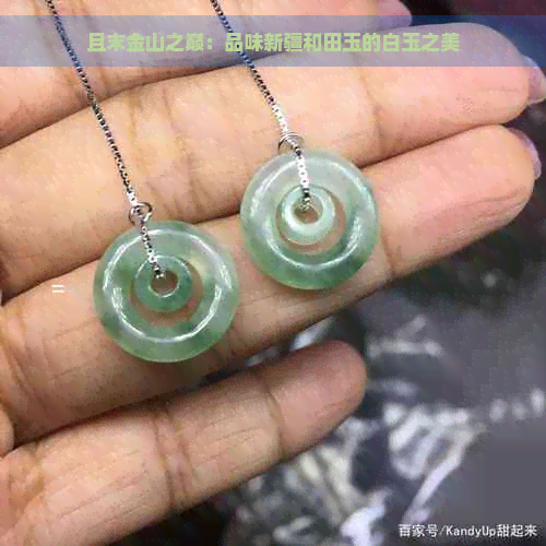 且末金山之巅：品味新疆和田玉的白玉之美