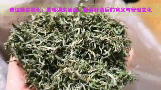 普洱茶金融化：即将迎来巅峰，探寻其背后的含义与普洱文化