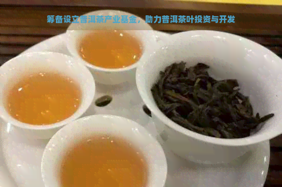 筹备设立普洱茶产业基金，助力普洱茶叶投资与开发