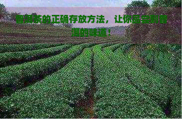 普洱茶的正确存放方法，让你品尝到普洱的味道！