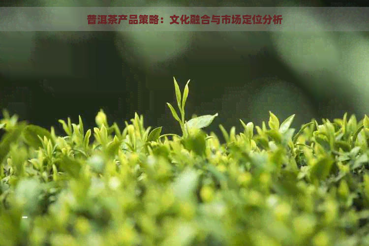 普洱茶产品策略：文化融合与市场定位分析